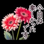 毎日使える お花 敬語✿大人上品お花