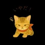 子猫のとらの日常スタンプ