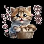 ねこちぃずNEO★やさしい秋スタンプ