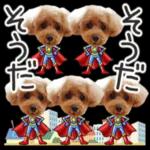 トイプーらっちゃんのなりきり編<日常言葉>