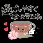 大人可愛い❤️秋の日常。