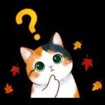 三毛猫のつめあわせ【秋】