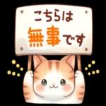 😍憧れ💕アルバム