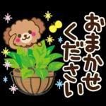 あなたもきっと、誰かの奇跡