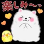 ポメラニアン❤️ぽちゃん「秋」