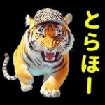 大阪神戸の野球好き虎ファン向け2