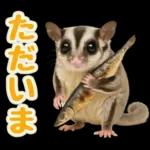 フクロモモンガ❤実りの秋は大豊作