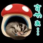 フクロモモンガ❤実りの秋は大豊作