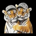 大阪神戸の野球好き虎ファン向け2