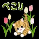 ころころ子猫 春の野原でかくれんぼ