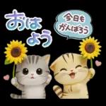 ねこちぃず♡夏スタンプ