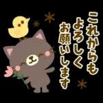 Natural Country Cat 15 flower