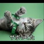 ENFPにゃんこスタンプ