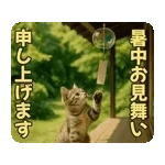 ゆっくり過ごしてくださいね🌿