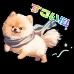 癒しポメラニアンの春のあいさつ 2