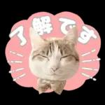 まるちゃんスタンプ＃1