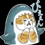サメにゃん_----