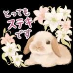 めっちゃ可愛い🫣🫣🫣