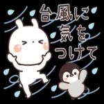 うさぎ＆ゆるぺんの夏