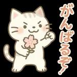 体調気遣い☆猫たちのスタンプ