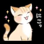 スナネコのサシャ 2