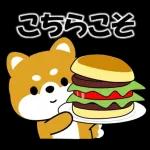 大事なお知らせがありまーす♪