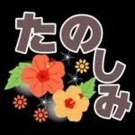 夏❤大人の超デカ文字3❤シニアの方にも