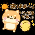 熱中症に気をつけて🫠🫠🫠