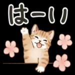  ゆっくり休んで、お大事にして。。。