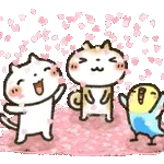 今日はもつ鍋♪