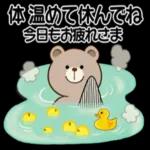 かわいい熊🐻が来ますよ！