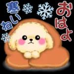 風邪をひかないように〜