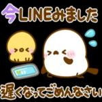 飛び出す♪もっちりヒヨコ兄弟夏