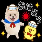 お