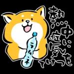 かわいい秋田犬～🐈