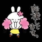 優しい2!!かわいい白うさぎ