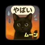 黒猫のムーンちゃん