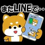 いいね	👍👍👍