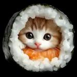 gatitos