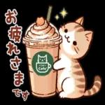 かわいい猫😺が来ますよ！
