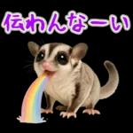 フクロモモンガ❤実りの秋は大豊作