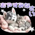 夏 猛暑 酷暑♡シベリアンハスキーとネコ