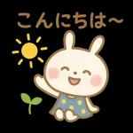 ✨白うさぎさん🐰