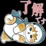 サメにゃん_----