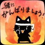 かわいい黒猫ちゃんの一日