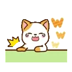 動く！ミル&モカ 毎日使える定番
