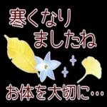 寒くなりましたね〜お体を大切に〜