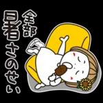 はな子✿夏真っ盛り日常。