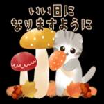 水彩♡ふわふわ♡秋の子猫