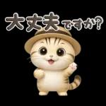 ねこちぃず♡夏スタンプ